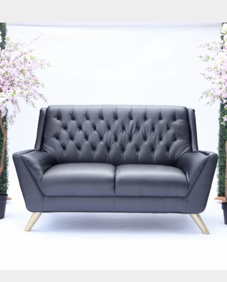 Black Licorice Leather Loveseat