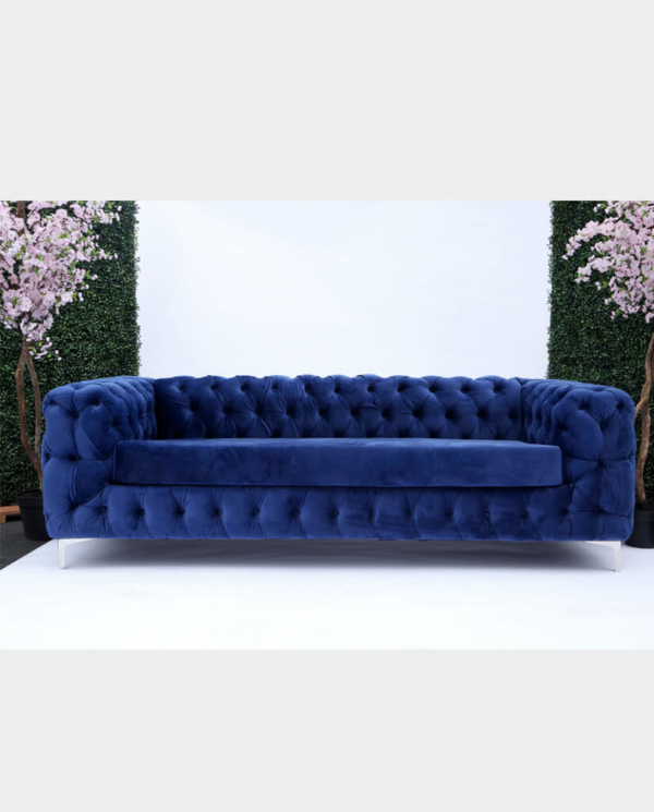 Blueberry Couch