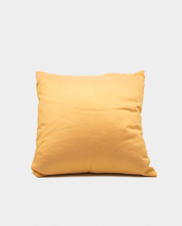 Orange Pillow