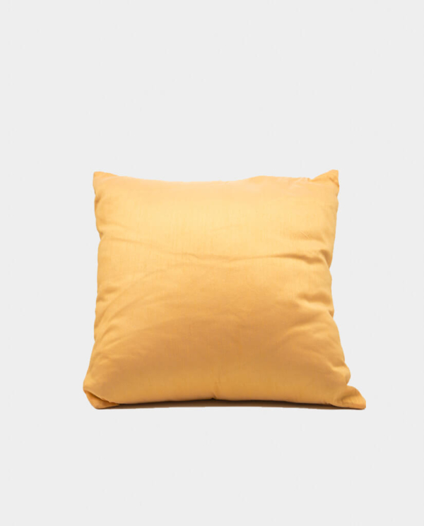Orange Pillow