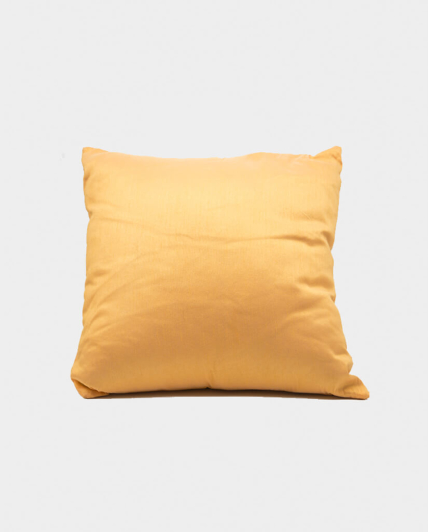 Orange Pillow